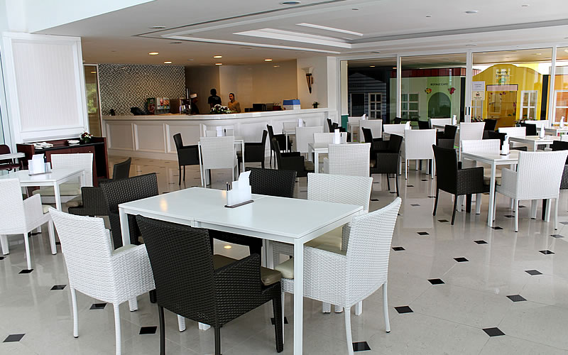 Penguin Cafe
